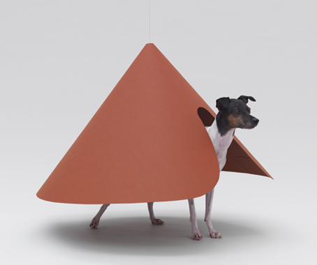 Architecture for Dogs
